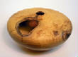 AvailableForSale/BlackLocustBurlHF1.jpg