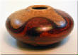 AvailableForSale/NanoBolo1.jpg
