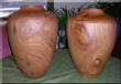 BigPieces/2SpanishElmA.jpg