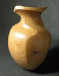 OneWoodB/MOAElm3a.jpg