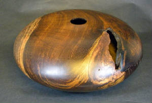 OneWoodB/PheasantWoodHF4.jpg
