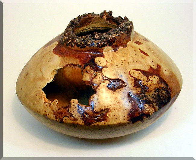 VaseHollowForm/BirchBurl1a.jpg
